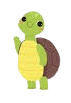 Turtle 3