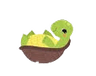 Turtle 1